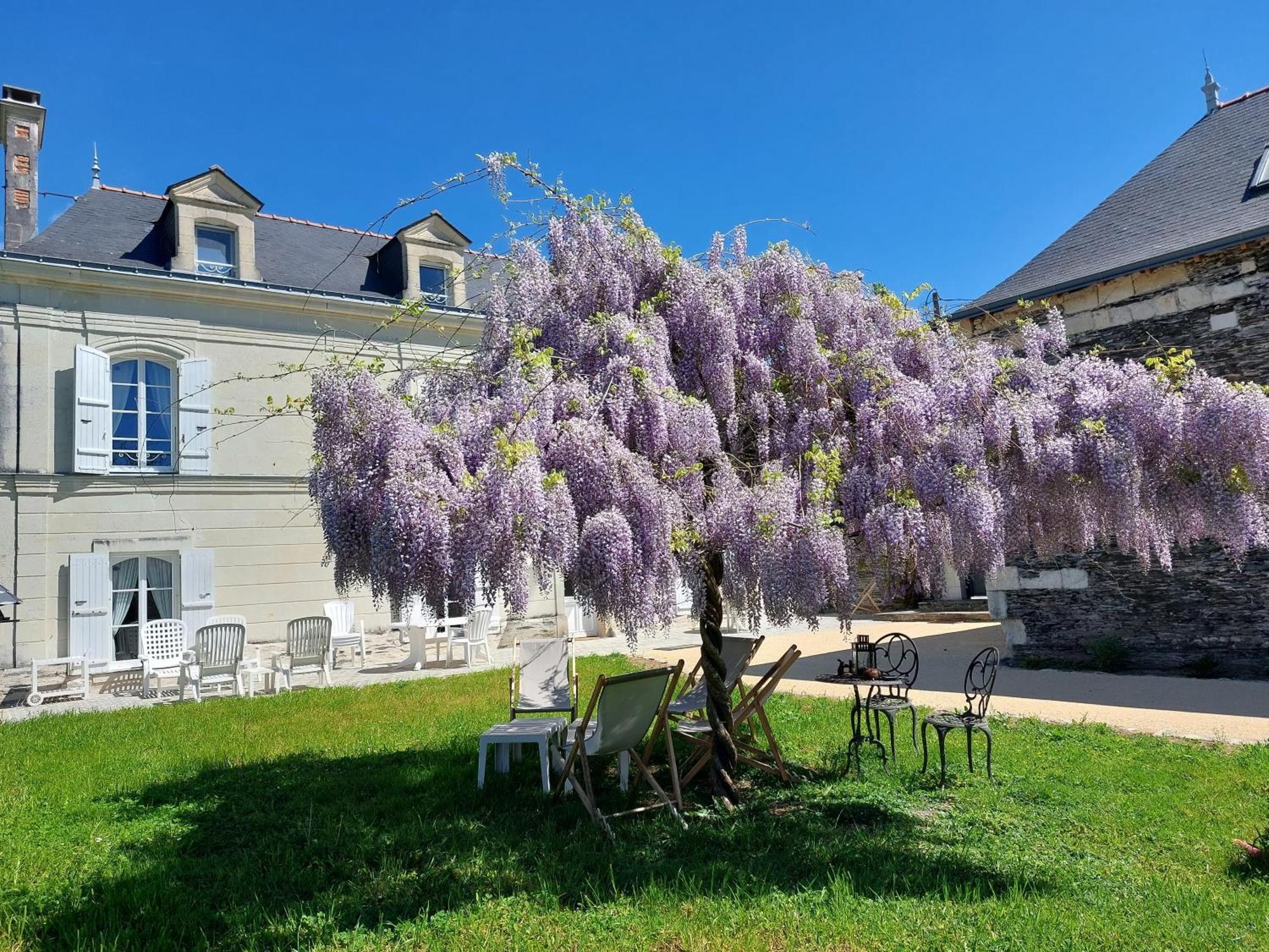 La Bohalle La Bohal' Loire 아파트 외부 사진